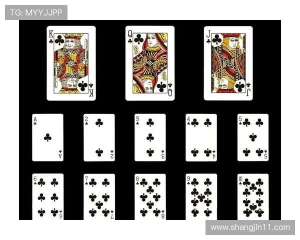 博雅德州下载:畅享经典扑克游戏的无限乐趣 博雅德州下载:畅享经典扑克游戏的无限乐趣